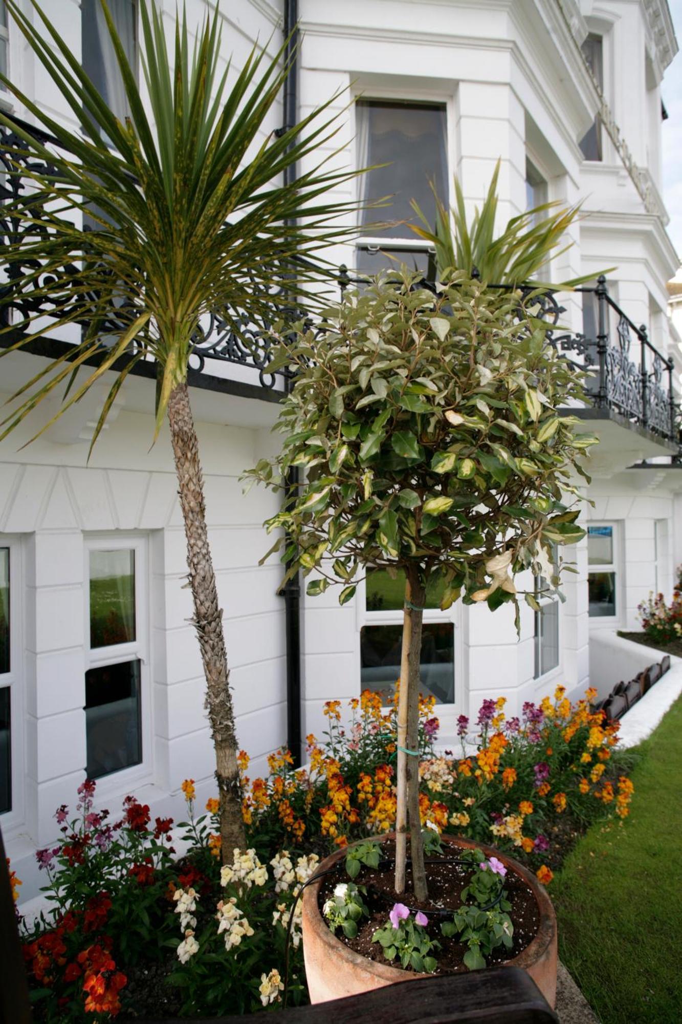 Devonshire Park Hotel Eastbourne Bagian luar foto